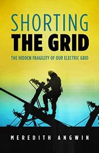 Shorting the Grid